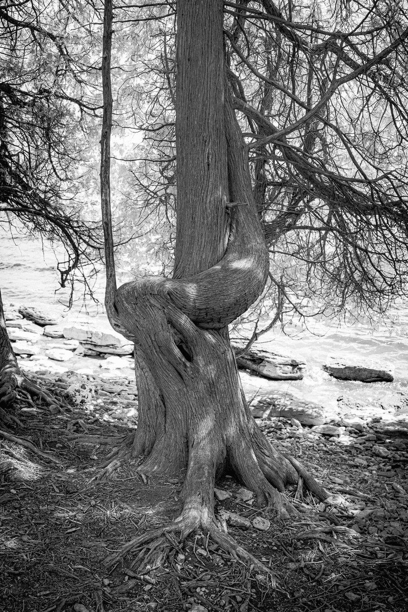The Eternal Embrace